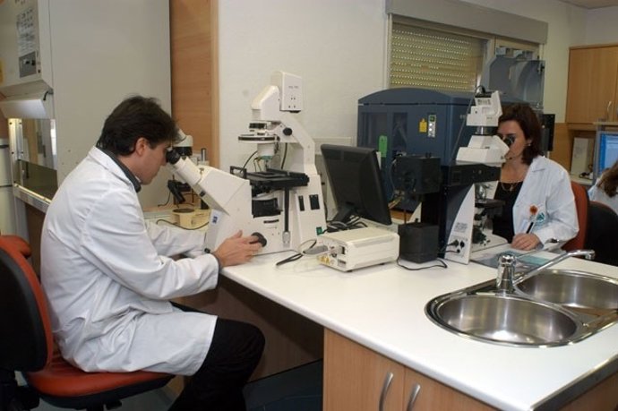 Investigación en Atención Primaria de la sanidad andaluza