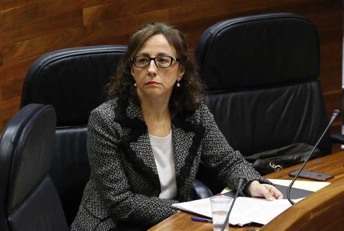 La consejera de Medio Ambiente, Belén Fernández. 