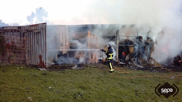 Incendio en una instalación ganadera en Castrillón