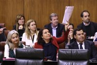 El Parlamento incorpora a la Mesa a Del Pozo (PP-A) y deja sin presencia a IULV-CA