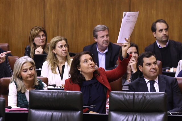 Diputados de PP-A piden la ejecución del fallo del TC sobre la Mesa de la Cámara