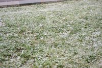 Se esperan precipitaciones persistentes en Bizkaia y Gipuzkoa