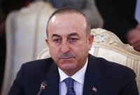 Cavusoglu confía en que Trump no repita los errores de Obama en su relación con Turquía