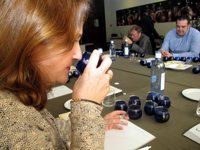 Un total de 54 aceites de oliva virgen extra opta al distintivo Jaén Selección 2017