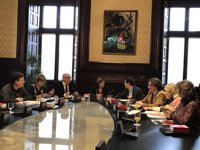 El Parlament mantiene la tramitación de las leyes de 'desconexión' pese al fallo del TC