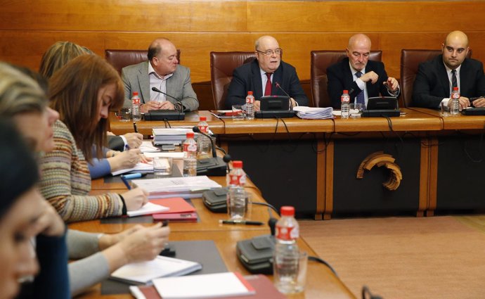 El consejero de Economía, Hacienda y Empleo comparece en el Parlamento