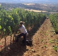 La Unión reclama a la Junta que pague las ayudas a los jóvenes agricultores antes de publicar una nueva convocatoria