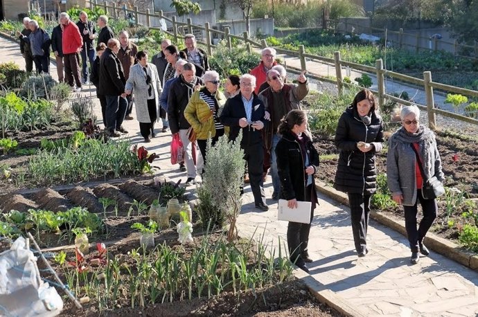 Huertos finca Altamira 