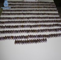 Dos detenidos en Badajoz cuando transportaban 4,5 kilos de hachís escondidos en calcetines