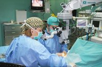 Asturias presenta una tasa de 46,2 donantes de órganos por millón de habitantes en 2016, por encima de la media estatal