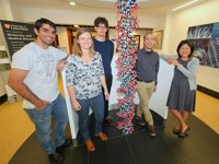 La vitamina B3 puede resultar beneficiosa para algunos tipos de Parkinson hereditario