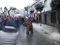 Inician la recolección de los 20.000 kilos de nabos que arrojarán este año a Jarramplas en Piornal (Cáceres)