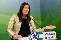 PP-A no presentará enmiendas al Congreso y apoya la elección de presidente por doble vuelta