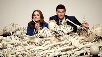 ¿Habrá reunión de Bones después de su 12ª temporada?