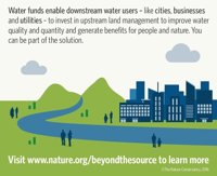 Medidas de protección forestal puede mejorar 4 de cada 5 ciudades, según estudio