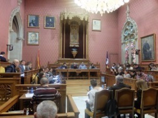 Pleno del Consell