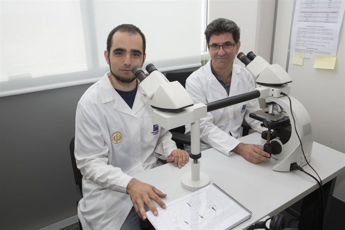 INVESTIGADORES DE LA UJI