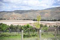 La alcaldesa de Teruel califica de "decepción" la partida de 1,2 millones para el futuro hospital