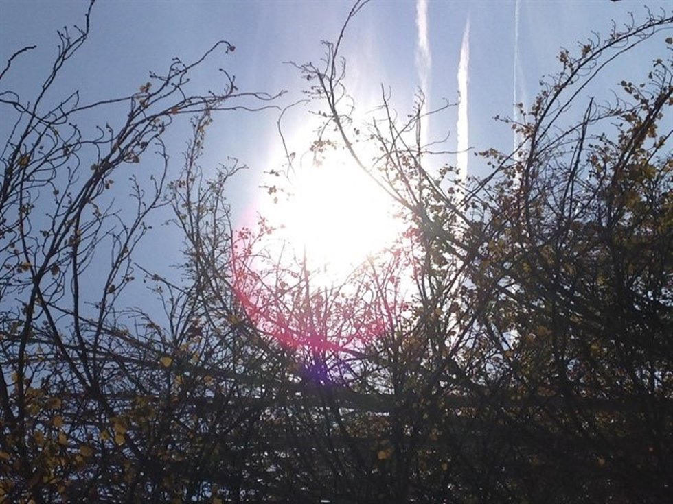 Algunos puntos de la Comunitat han vivido un día con temperaturas primaverales