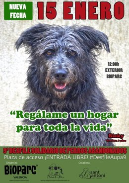 15 De Enero, Fecha Para El Desfile Solidario De Perros De Aupa Y Bioparc Valenci
