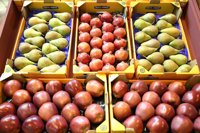 Los precios suben un 0,6% en diciembre en Aragón y finaliza 2016 en un 1,6%