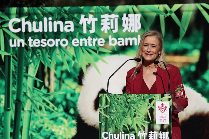 Cristina Cifuentes en la presentación de la cría de oso panda gigante en el Zoo