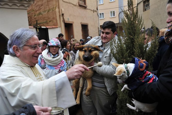 Bendición de animales en la ermita de San Antón de Teruel