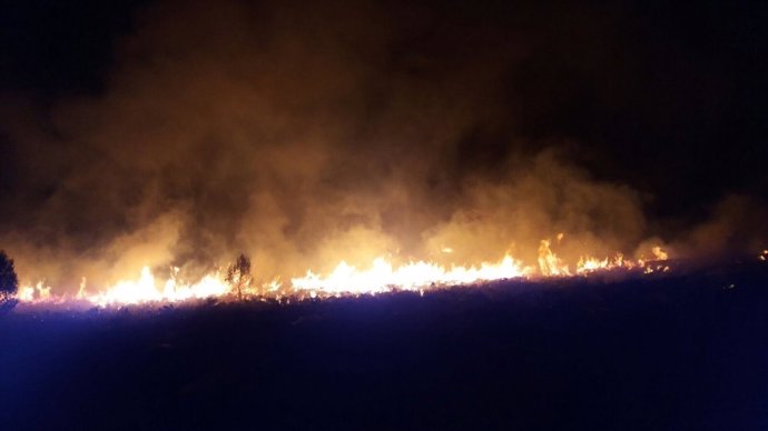 Incendio en es Miner Petit (Pollença)