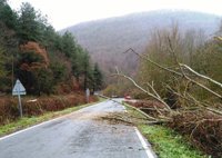 Policía Foral atiende seis accidentes y diversos sucesos por el temporal en Navarra
