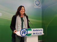 PP-A reclama un debate general en el Parlamento tras las movilizaciones sanitarias