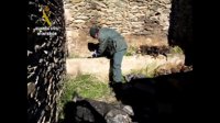 Detenido por la muerte de ocho perros en un cortijo en ruinas de la Alpujarra granadina