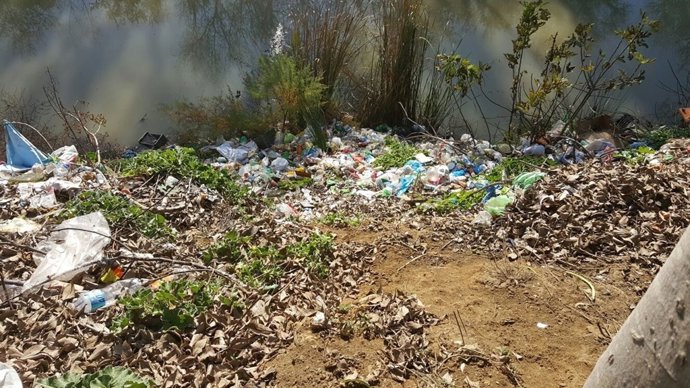 Basura en las laderas del castillo de Alcalá.