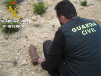 La Guardia Civil destruye un proyectil de artillería de la Guerra Civil encontrado en Requena