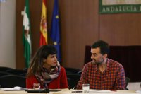 Podemos e IULV-CA piden un debate general en el Parlamento sobre la sanidad pública