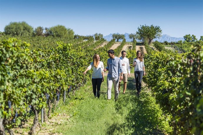 Bodegas Torres