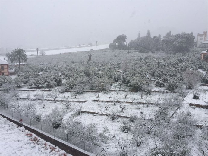 Nieve en Murcia, frío, nevada