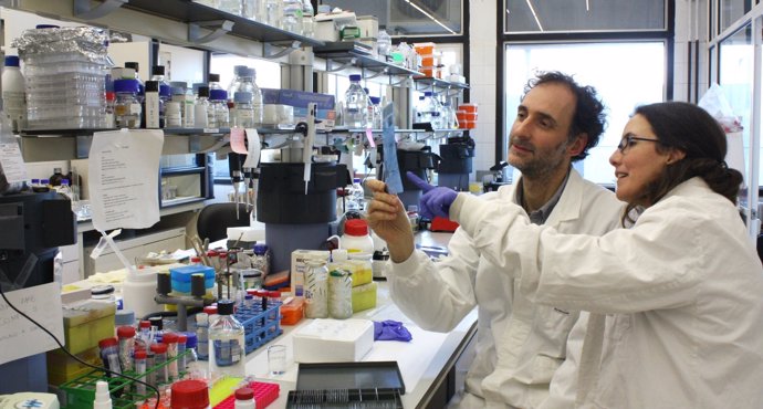 Los investigadores Carlos Saura y Lilian Enríquez en su laboratorio