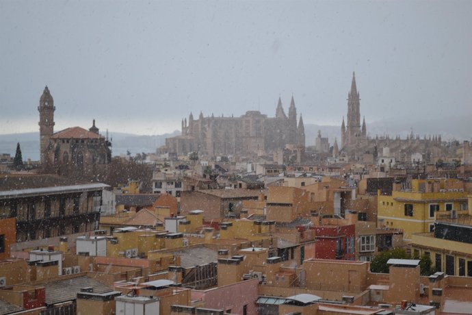 Palma nevando con la catedral al fondo