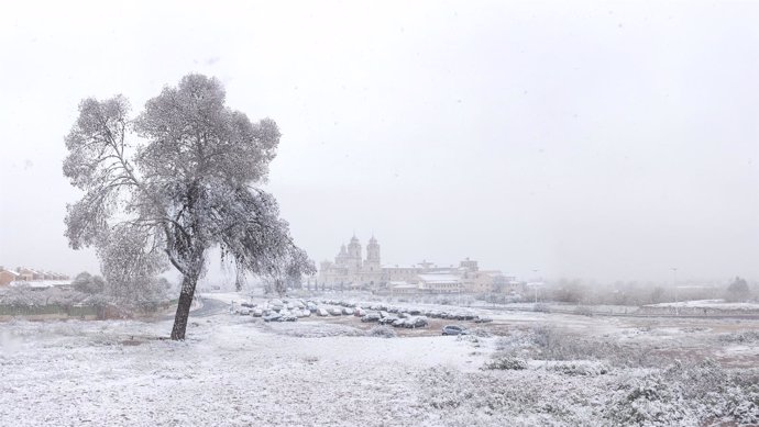 Imagen de la nevada en el Campus de los Jerónimos de la UCAM