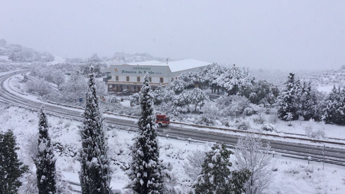 Carretera afectada por la nieve en Ronda (Málaga)
