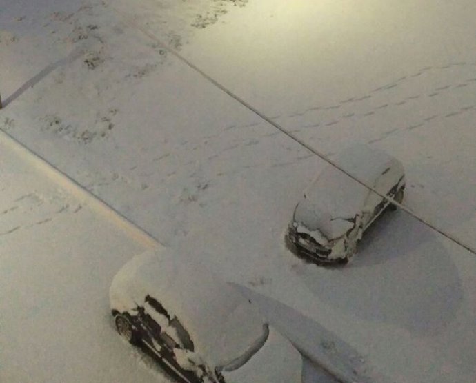 Nevada en Biar