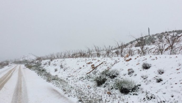 Nieve, nevada, frío