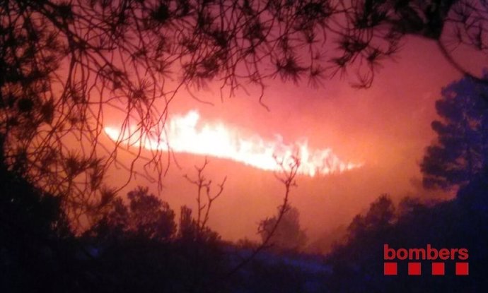 Un incendio forestal quema la zona del Coll de Rajolers en Tortosa