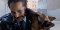 Un vídeo denuncia maltrato animal en el rodaje A Dog's Purpose, la nueva película de Josh Gad y Dennis Quaid