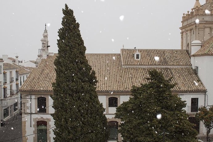 Copos de nieve en Estepa.