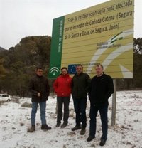 Finaliza la restauración de la zona del incendio de Cañada Catena, en Jaén, en 2009