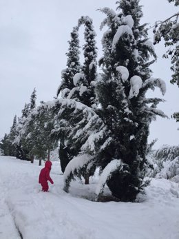 Ronda nieve frio temporal enero 2017 