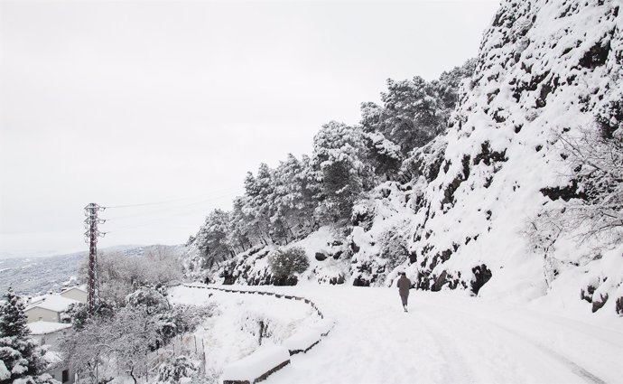 Carretera en Grazalema nevada