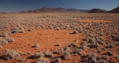 Cambio Climático