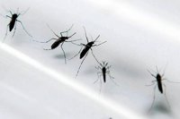 Honduras registra su primera muerte por microcefalia en 2017